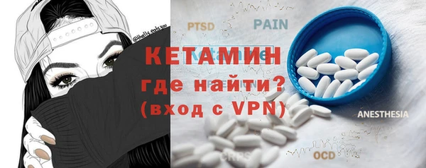 индика Алексин
