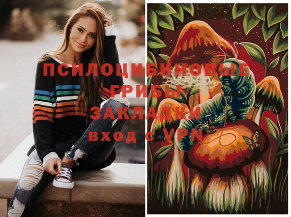 гашик Армянск