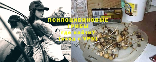 гашик Армянск
