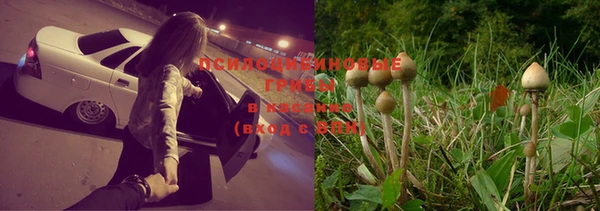 молекула духа Алзамай