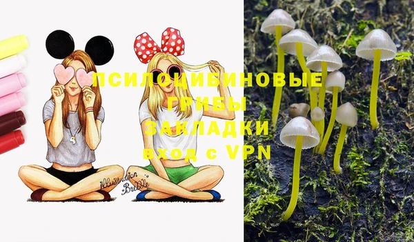 индика Алексин