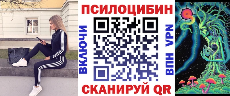 МЕГА маркетплейс  Певек  Псилоцибиновые грибы мицелий 